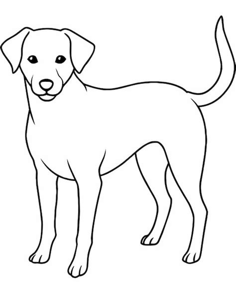 Hand Drawn Dog Outline Vector Illustration Line Art Premium Ai