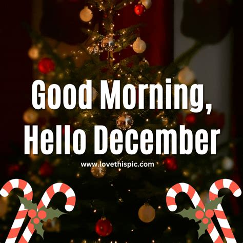 Good Morning Hello December  Pictures Photos And Images For