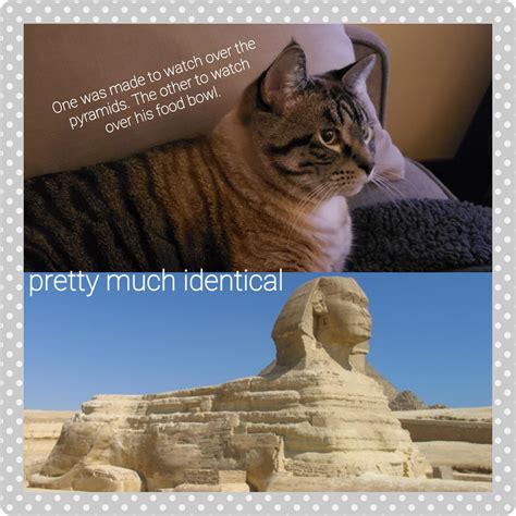 Cat and Sphinx. : r/funny