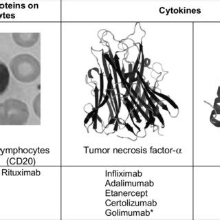 Diagrammatic representation of A. the structure of certolizumab pegol ...