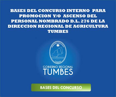 Bases de Concurso Interno Campañas Gobierno Regional Tumbes