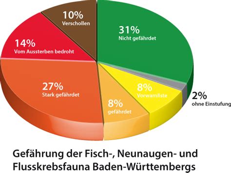 Fischarten Fischereiausbildungs Webseite