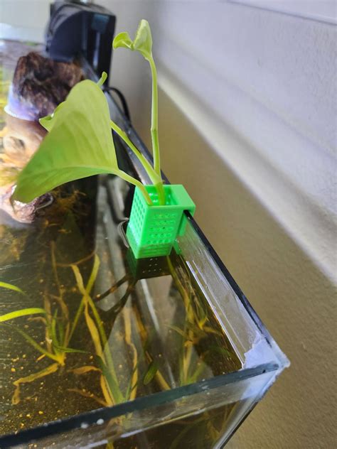 Aquarium plant holder by Eric | Download free STL model | Printables.com