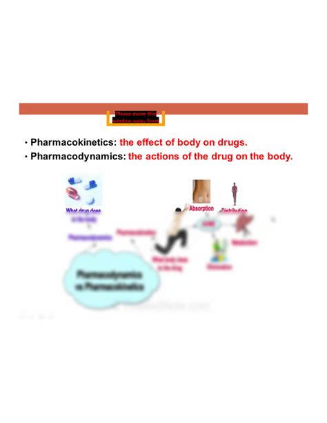 SOLUTION Introduction To Pharmacology Lippincott Pharmacology 7th