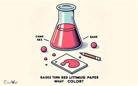 Bases Turn Red Litmus Paper What Color: Blue!