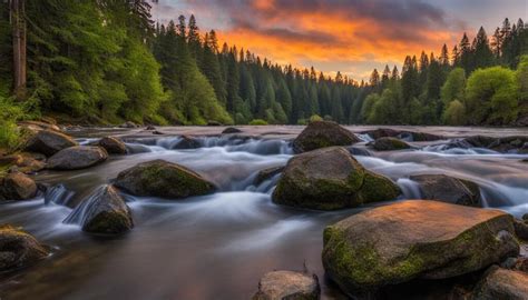 Auburn State Recreation Area: Explore California Parks - Verdant Traveler