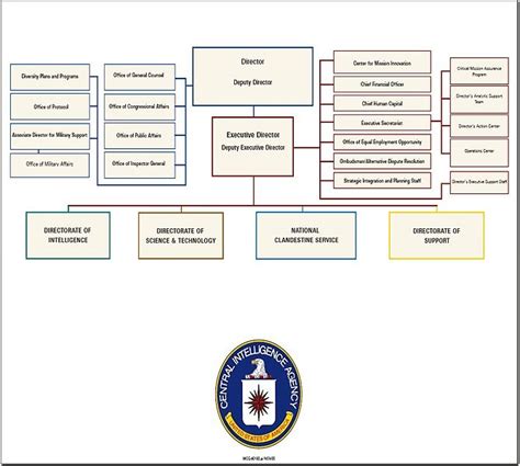 Organizational Chart, Organizational Structure, Org Chart, Central ...