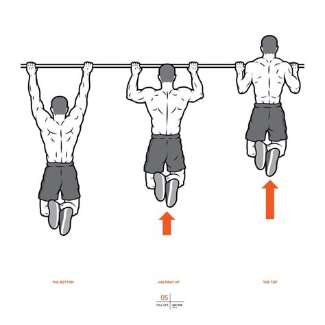 Your Ultimate Guide To Pullups