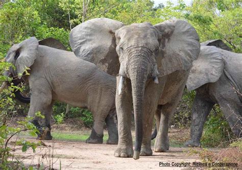 Ecotourism in Ghana - touringghana.com