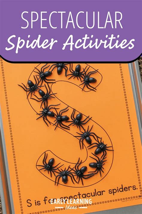 Spectacular Spider Activities Spidery Learning Activities