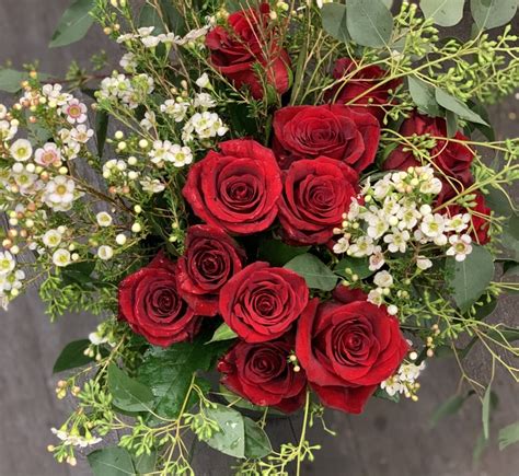 Valentine's Day Premium Red Roses by Hallie's Garden