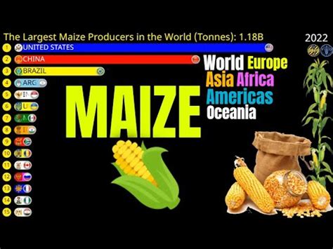 Os Maiores Produtores De Milho Do Mundo Europa Sia Am Ricas Frica