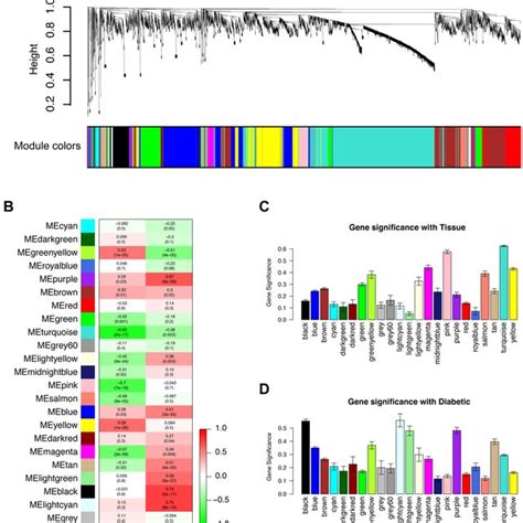 Genes Modules In Weighted Gene Co Expression Network Analysis Wgcna