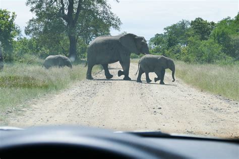 Voyage Dans Le Swaziland Et Au Parc Kruger En Afrique Du Sud