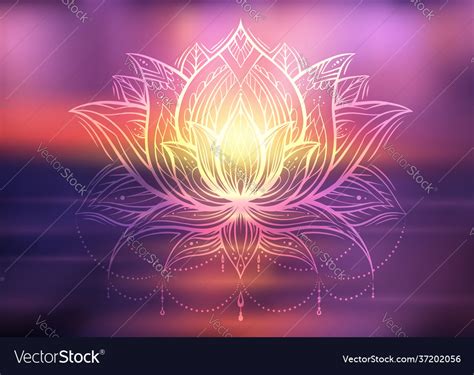 Lotus Flower Spiritual Best Flower Site