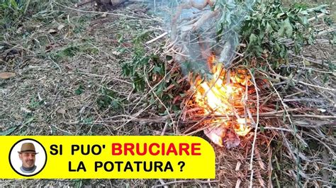 Bruciare La Potatura Youtube