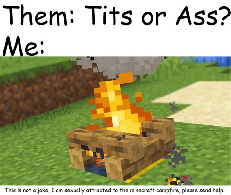 Campfire Best Minecraft Block R MinecraftMemes Minecraft Know