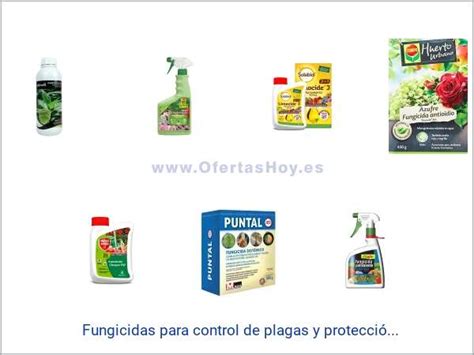 Ofertas En Fungicidas Para Control De Plagas Y Protección De Hoy Los Mejores Precios