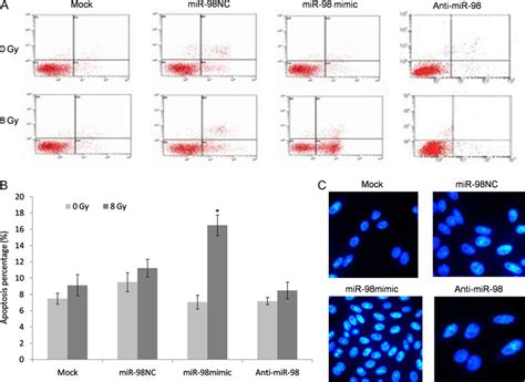 MiR 98 Promoted X Rayinduced Apoptosis Of ESCC Resistant Cells A A