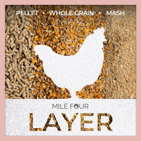 Buy Organic Chicken Layer Feed | Best Organic Layer Feed | Non-GMO