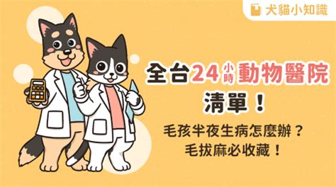 【2024 更新】全台 24 小時動物醫院！夜間急診完整清單！ 汪喵星球