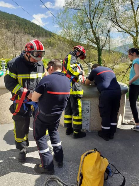 Faits divers Justice Alpes de Haute Provence deux chiots jetés