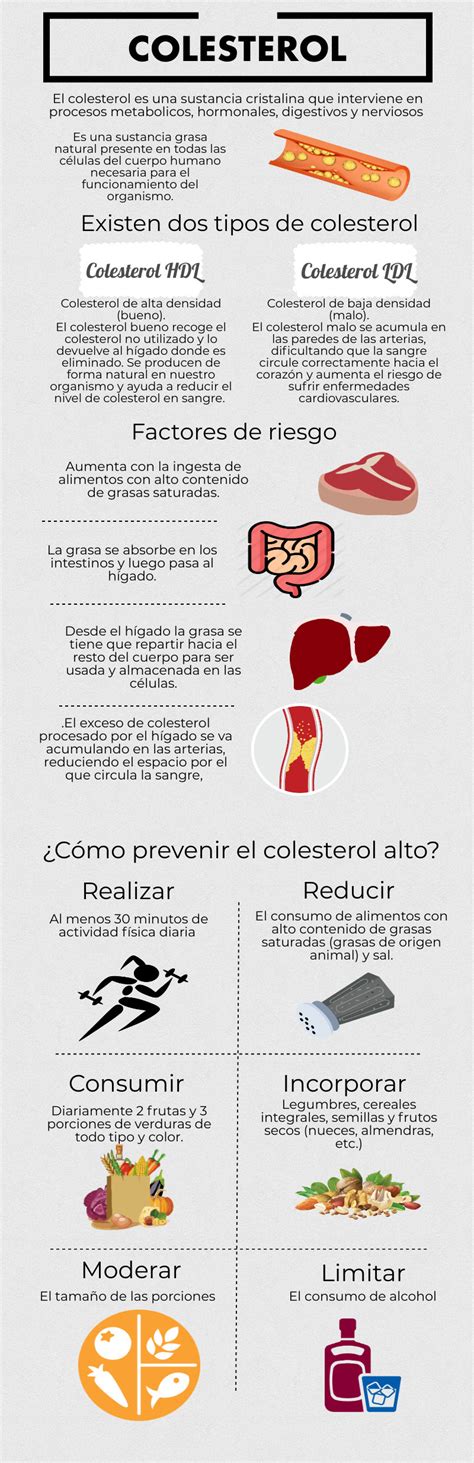 Infografía Colesterol Clínica Universitaria De Salud Reproductiva Y