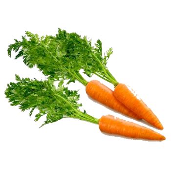 Free Carrot Transparent Background, Download Free Carrot Transparent Background png images, Free ...