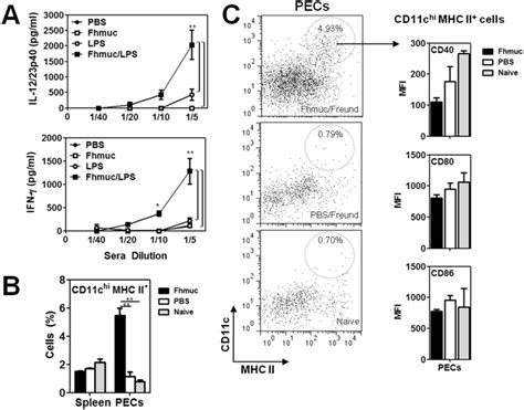 Fhmuc Potentiates The Production Of Pro Inflammatory Cytokines In A