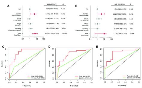 Independent Prognostic Analysis A Univariate Analysis B