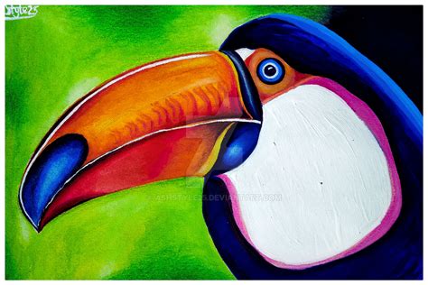 The Toucan Artwork by ASHSTYLE25 on DeviantArt