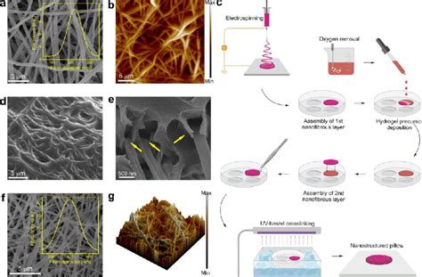 Morphological Characterization Of The Electrospun Nanofibers And