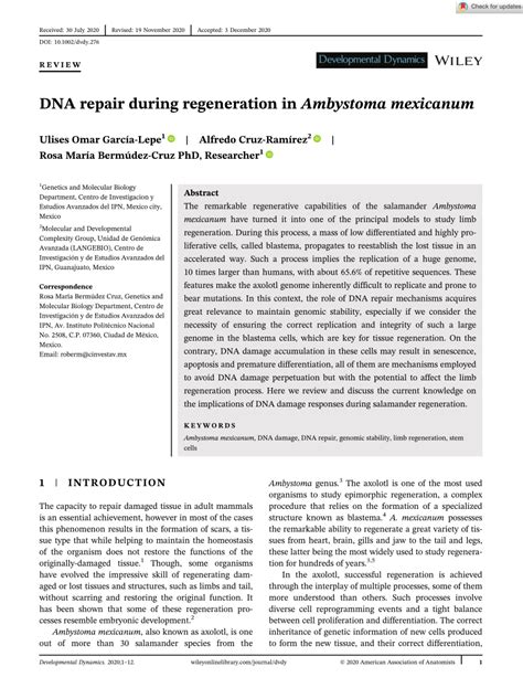 (PDF) DNA repair during regeneration in Ambystoma mexicanum