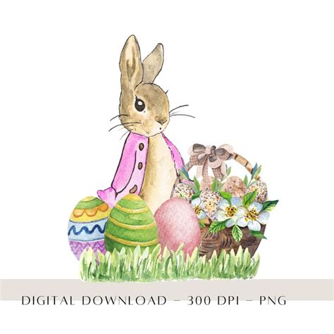 Peter Rabbit Pink Flopsy Bunny Easter Png Spring Sublimation Png Baby