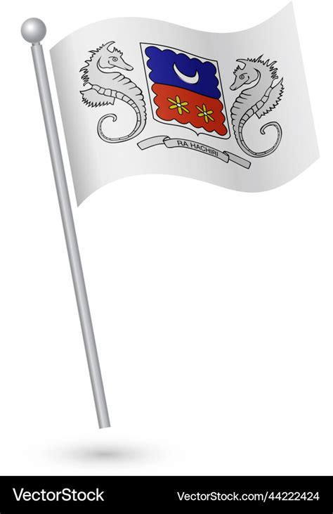 Mayotte National Flag Royalty Free Vector Image