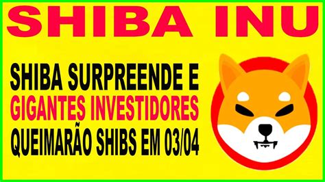 Shiba Inu Hoje Se Prepara Para O E Conhe A Oslposs Veis Gigantes