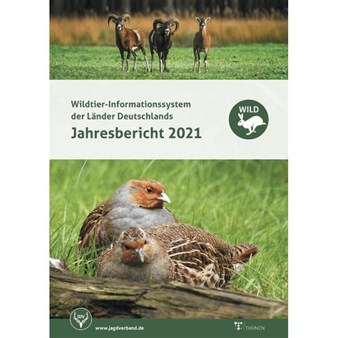 Wild Bericht Im Djv Shop Djv Jagd Shop Jagdausr Stung F R