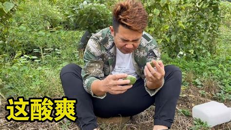 男二号把退伍军人优待证办好，回去百香果地转转，看看这表情到位【男二号v】 Youtube