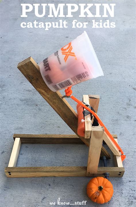 Easy Catapult Designs School Project