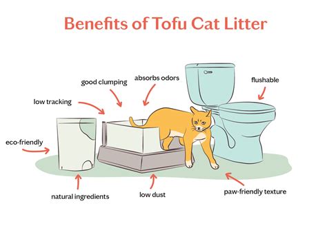 Everything You Need To Know About Tofu Cat Litter Tuft Paw