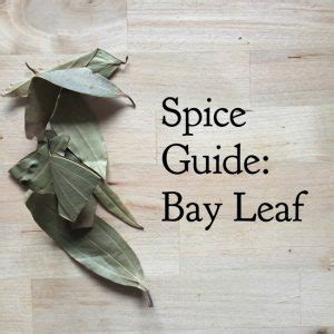 Spice Guide: Bay Leaf