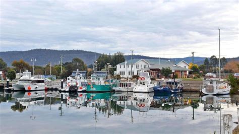 Triabunna students prepare for future without woodchips - ABC News