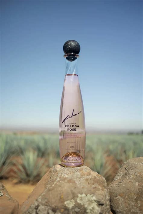 Top Luxury Tequilas A Guide To Priciest Bottles Celosa Tequila