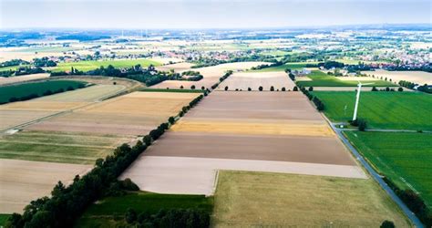 Luftaufnahme Eines L Ndlichen Gebiets Mit Landwirtschaftlichen Feldern