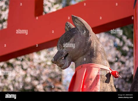 Fox God Shrine Hi Res Stock Photography And Images Alamy