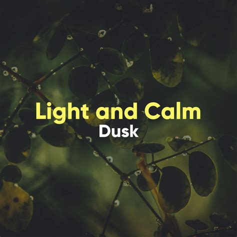 Light and Calm Dusk Álbum de Binaural Ambience Spotify