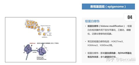 表观组学 甲基化分析 知乎