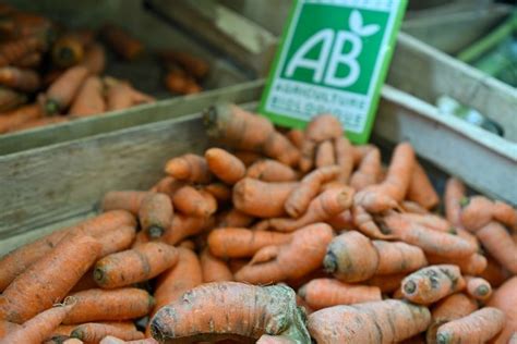 Le Gouvernement Va Accorder Une Aide De Plusieurs Millions D Euros Pour