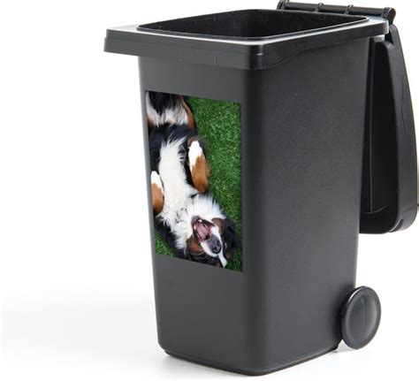 Container Sticker Berner Sennenhond Ligt Lekker Op Het Gras 40x60 Cm