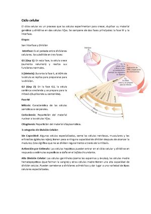 Sibalo Biologia Celular Y Molecular S Labo Biolog A Celular Y